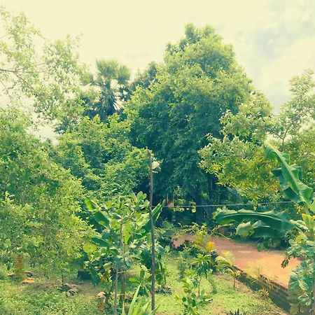 Oleena Home Stay هاباران المظهر الخارجي الصورة
