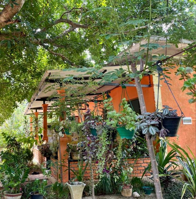 Oleena Home Stay هاباران المظهر الخارجي الصورة