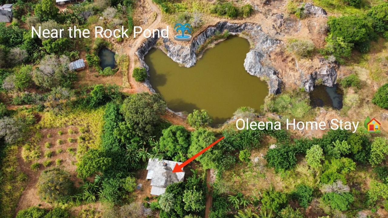 Oleena Home Stay هاباران المظهر الخارجي الصورة