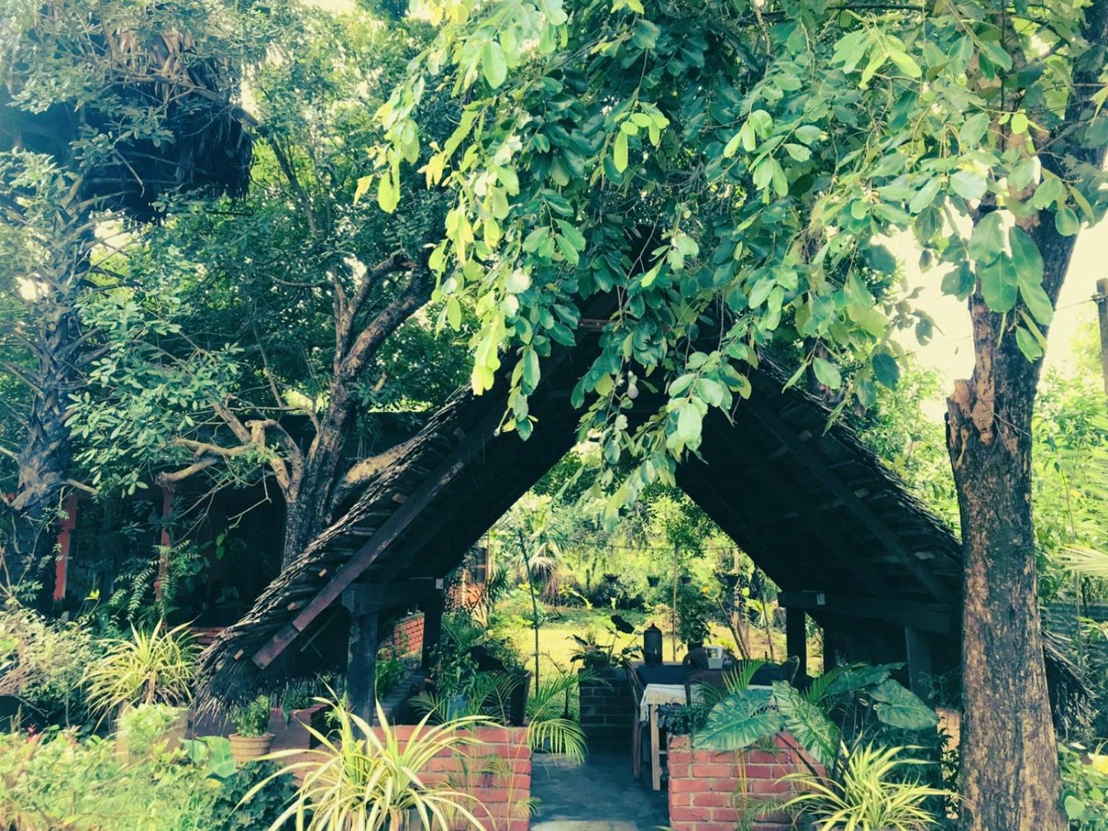 Oleena Home Stay هاباران المظهر الخارجي الصورة