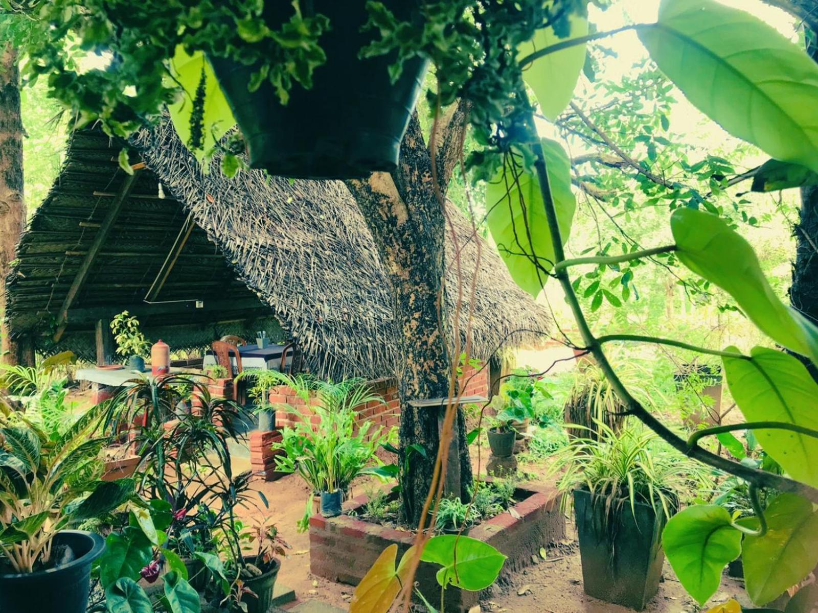 Oleena Home Stay هاباران المظهر الخارجي الصورة